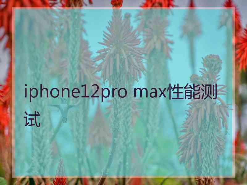 iphone12pro max性能测试