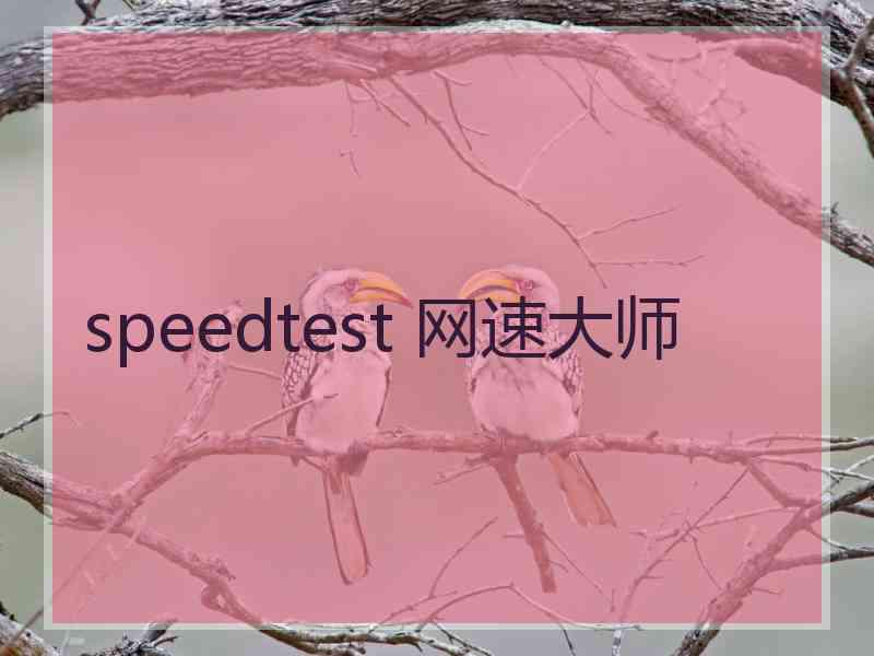 speedtest 网速大师