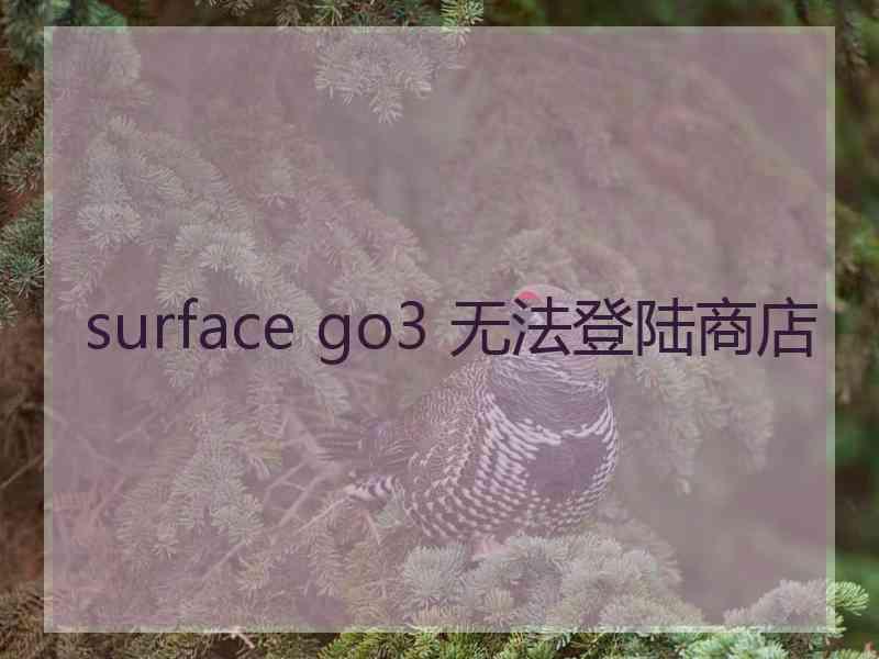 surface go3 无法登陆商店