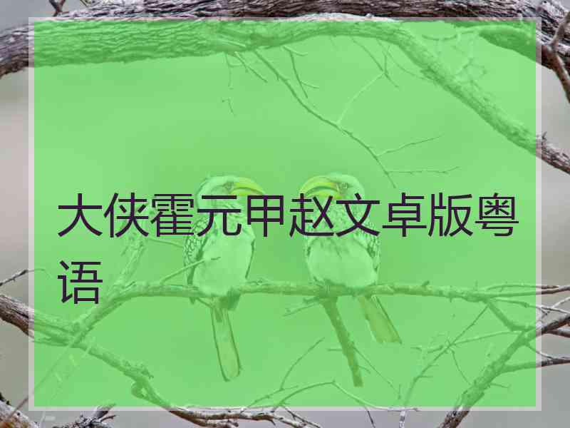 大侠霍元甲赵文卓版粤语