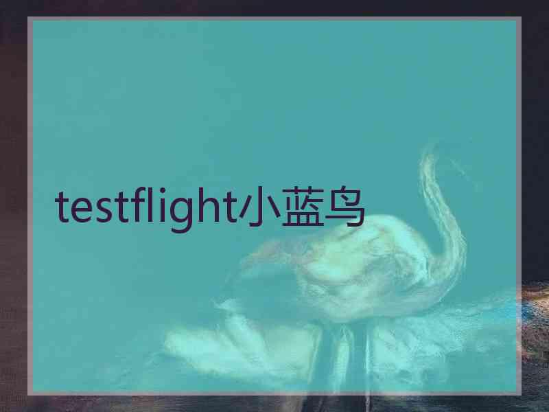 testflight小蓝鸟