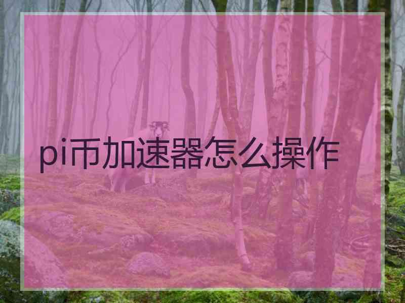 pi币加速器怎么操作