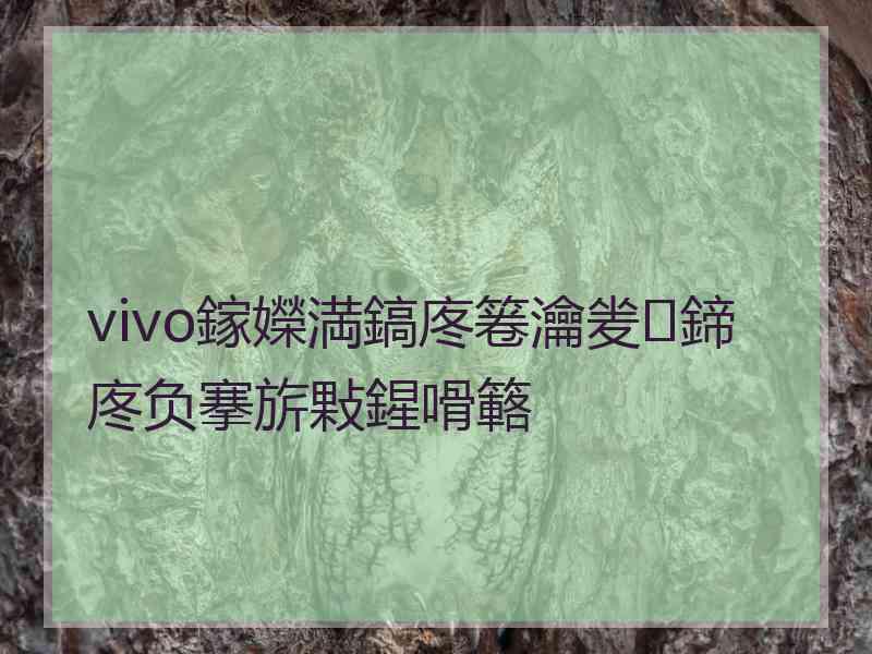 vivo鎵嬫満鎬庝箞瀹夎鍗庝负搴旂敤鍟嗗簵