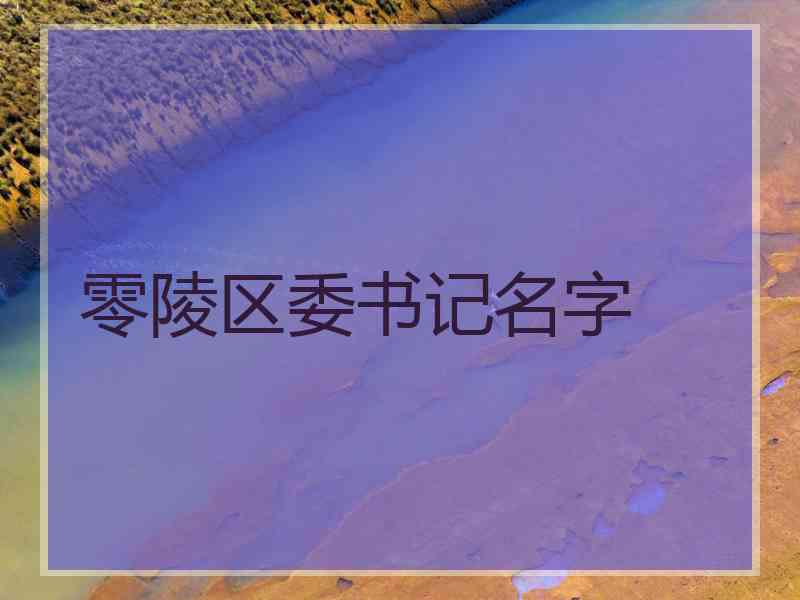 零陵区委书记名字