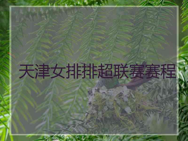 天津女排排超联赛赛程