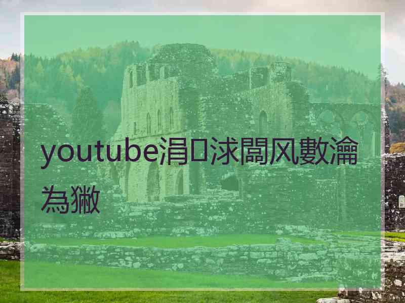 youtube涓浗闆风數瀹為獙