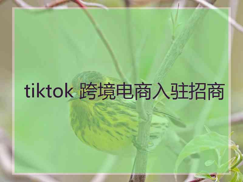 tiktok 跨境电商入驻招商