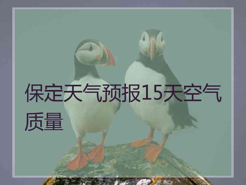 保定天气预报15天空气质量