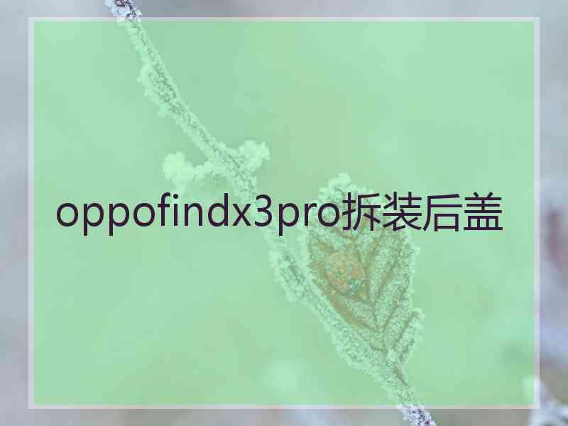 oppofindx3pro拆装后盖