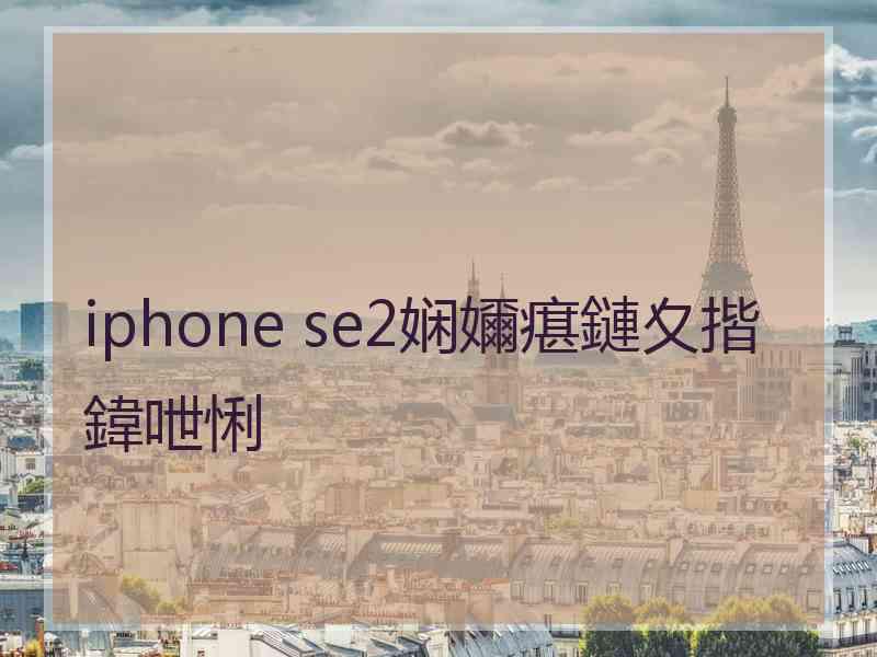 iphone se2娴嬭瘎鏈夊揩鍏呭悧