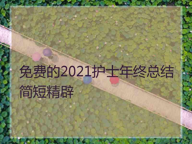 免费的2021护士年终总结简短精辟