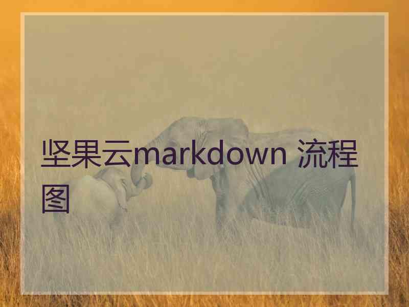 坚果云markdown 流程图