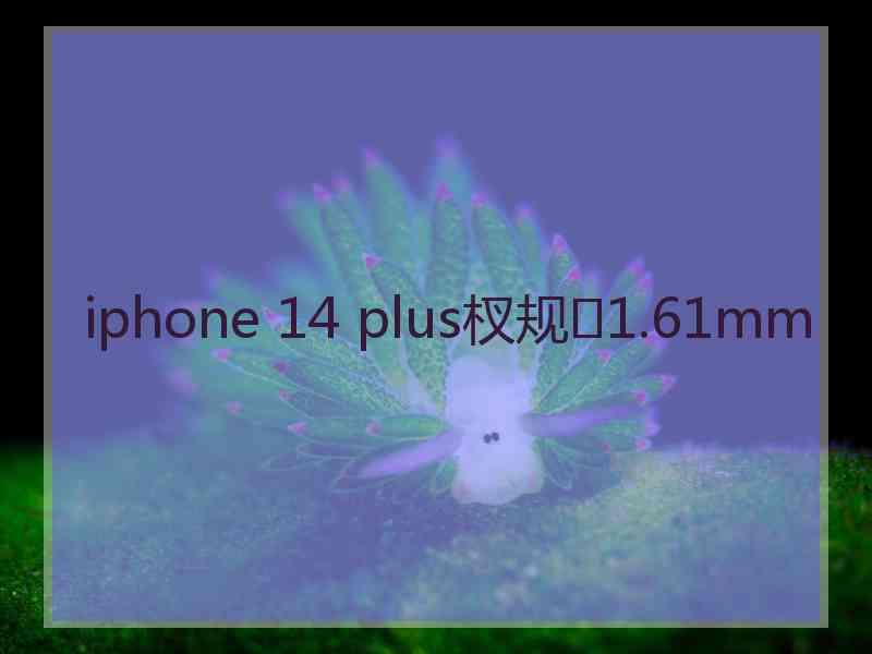 iphone 14 plus杈规1.61mm