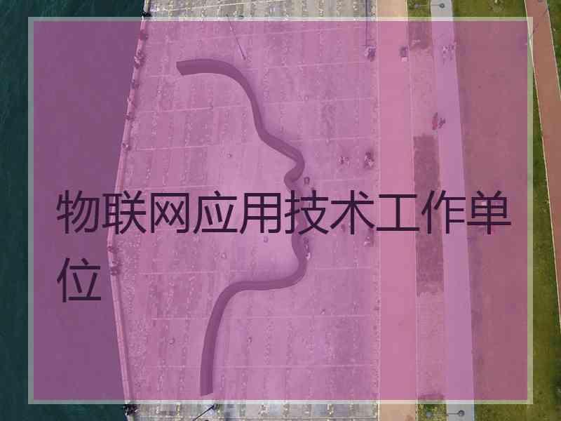 物联网应用技术工作单位