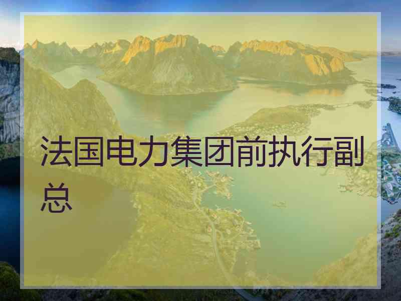 法国电力集团前执行副总