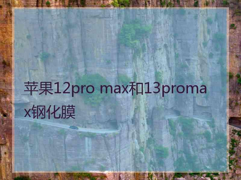 苹果12pro max和13promax钢化膜