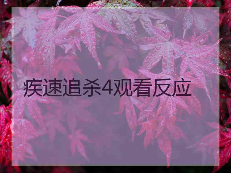 疾速追杀4观看反应