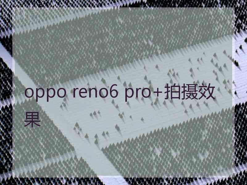 oppo reno6 pro+拍摄效果