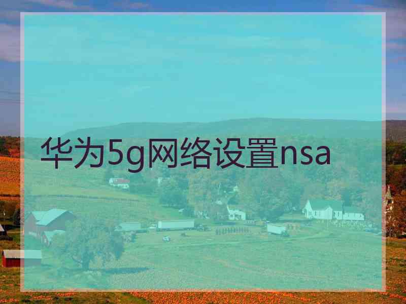 华为5g网络设置nsa