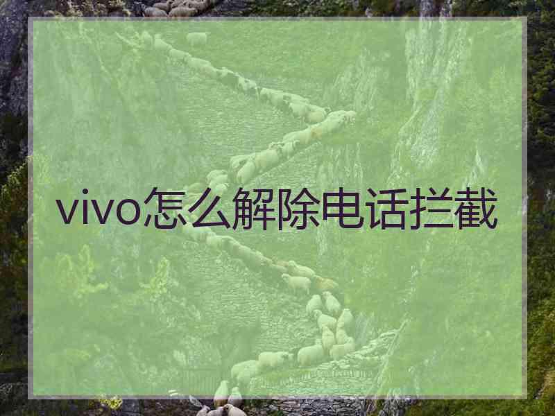 vivo怎么解除电话拦截