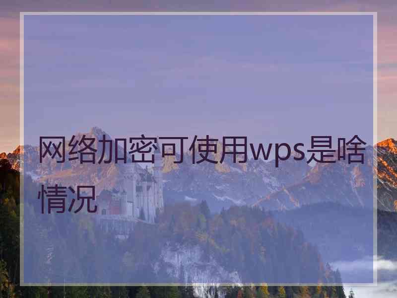 网络加密可使用wps是啥情况