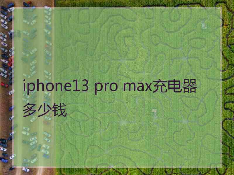 iphone13 pro max充电器多少钱