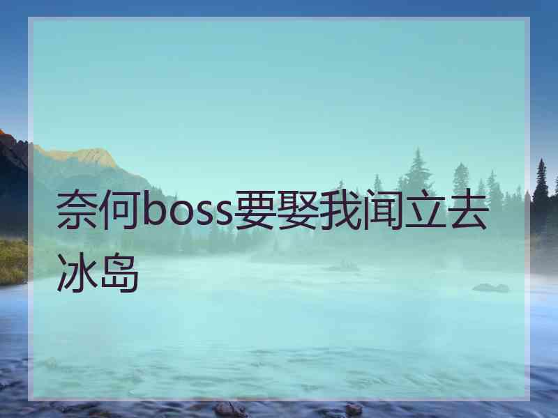 奈何boss要娶我闻立去冰岛