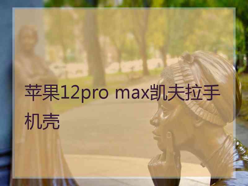 苹果12pro max凯夫拉手机壳