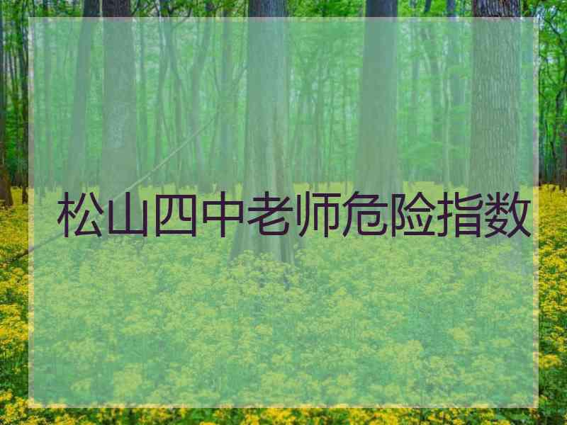 松山四中老师危险指数