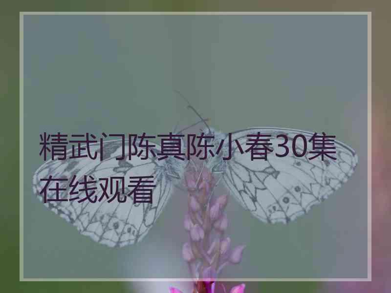 精武门陈真陈小春30集在线观看