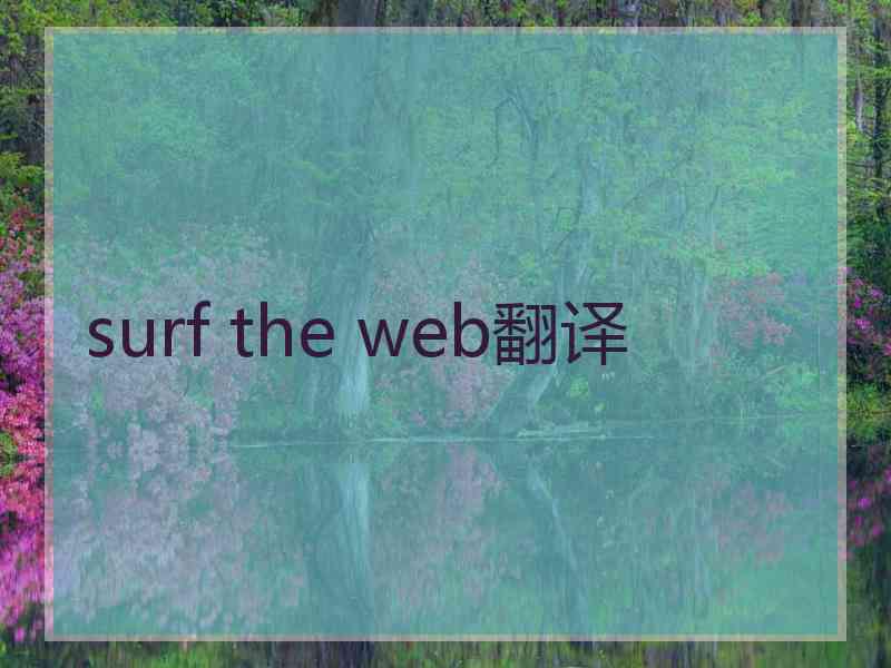 surf the web翻译