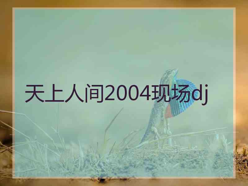 天上人间2004现场dj