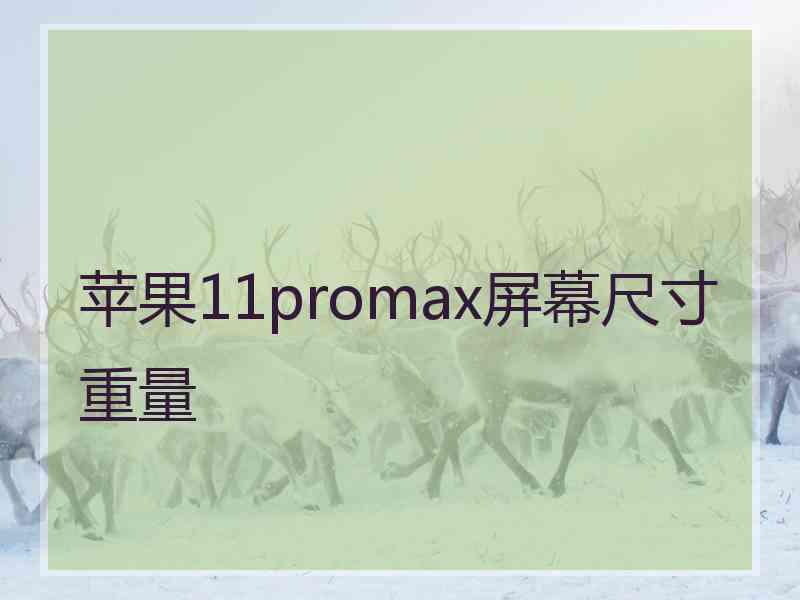 苹果11promax屏幕尺寸重量