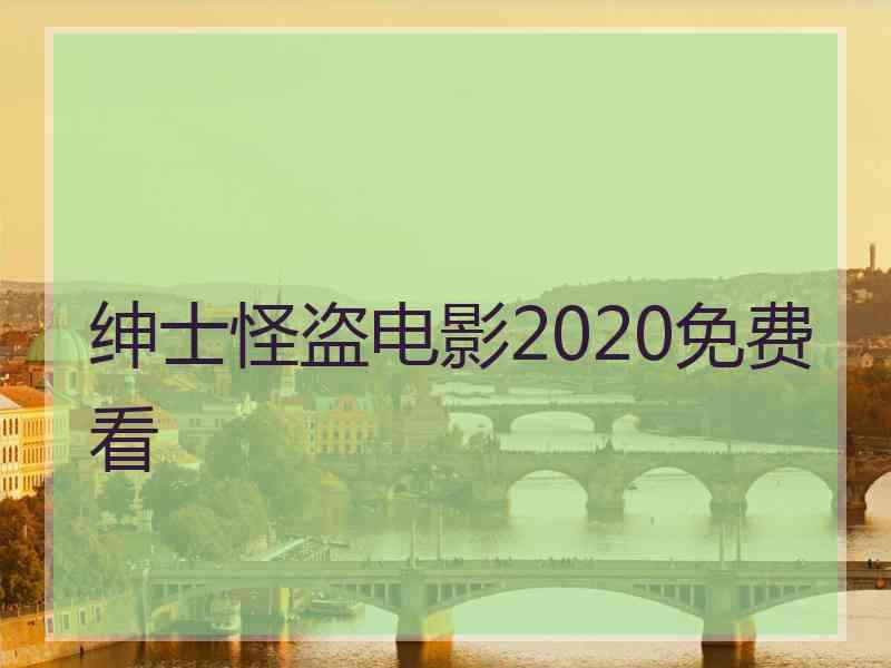 绅士怪盗电影2020免费看