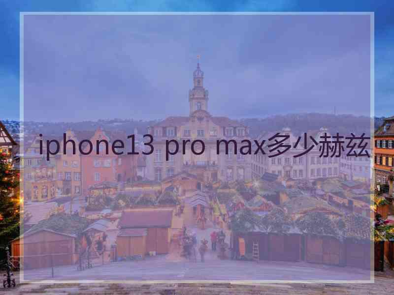 iphone13 pro max多少赫兹