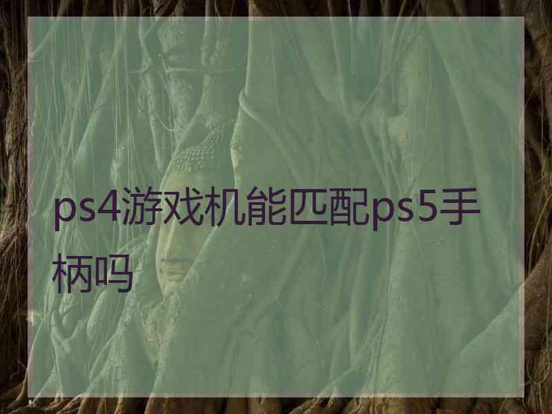 ps4游戏机能匹配ps5手柄吗