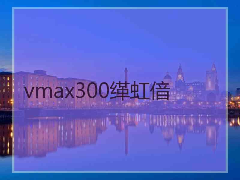 vmax300缂虹偣