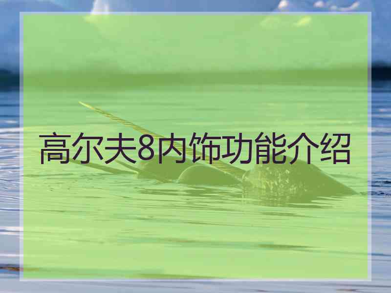 高尔夫8内饰功能介绍