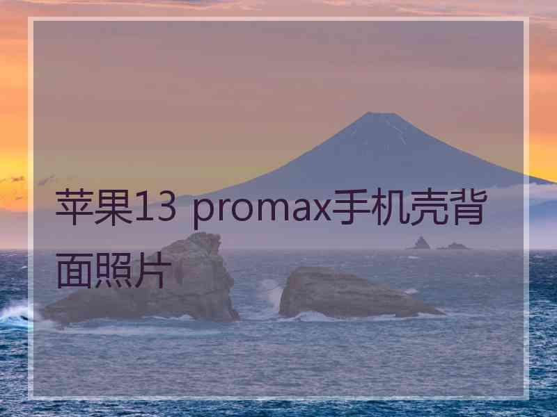 苹果13 promax手机壳背面照片