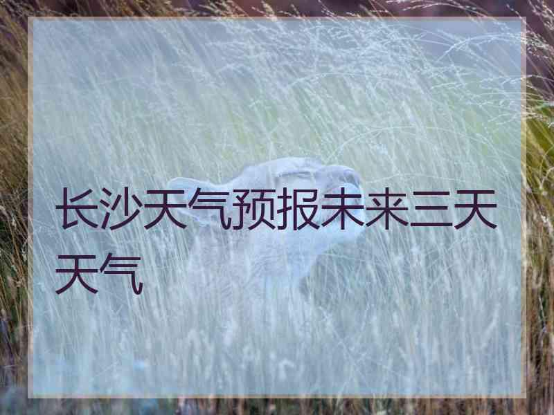 长沙天气预报未来三天天气