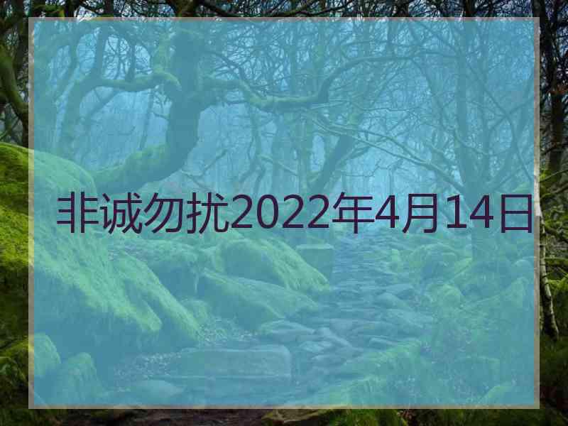 非诚勿扰2022年4月14日