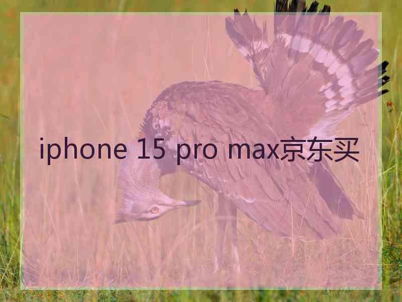 iphone 15 pro max京东买