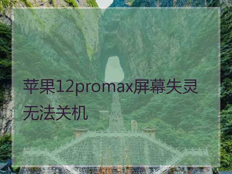 苹果12promax屏幕失灵无法关机