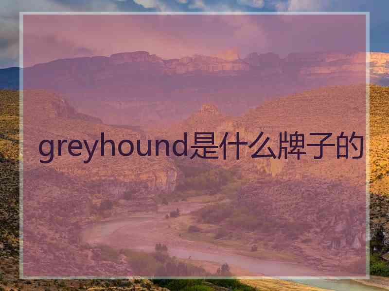 greyhound是什么牌子的