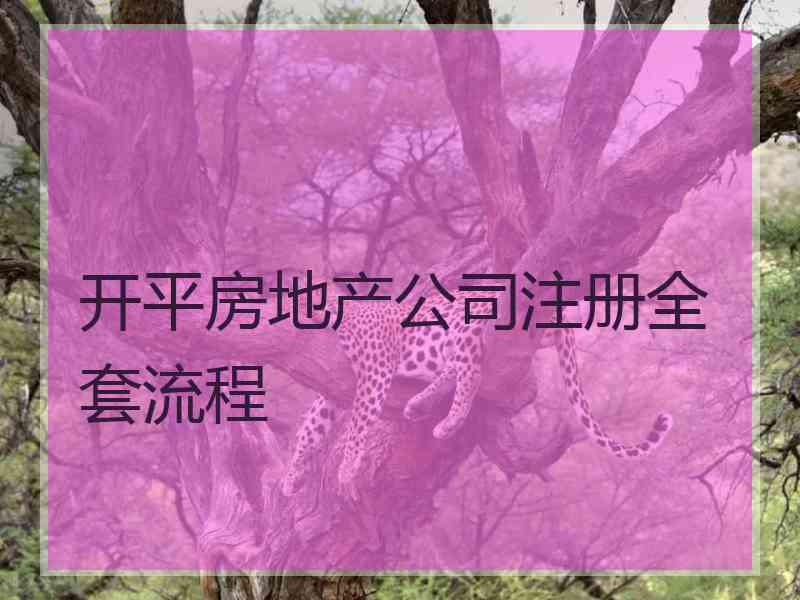 开平房地产公司注册全套流程