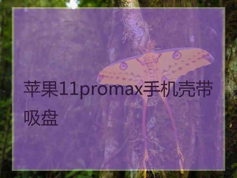 苹果11promax手机壳带吸盘