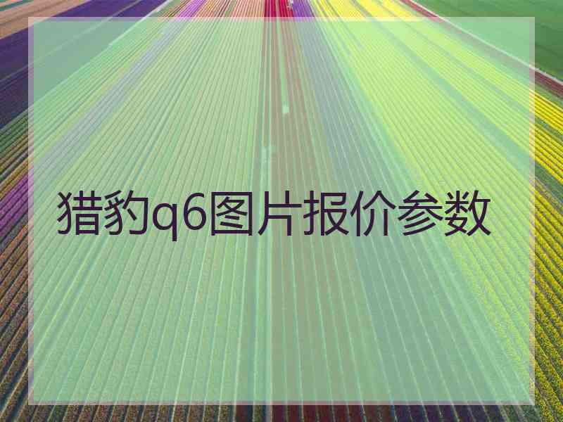 猎豹q6图片报价参数