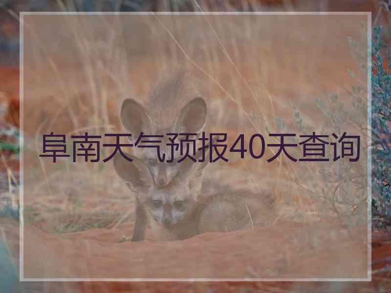 阜南天气预报40天查询