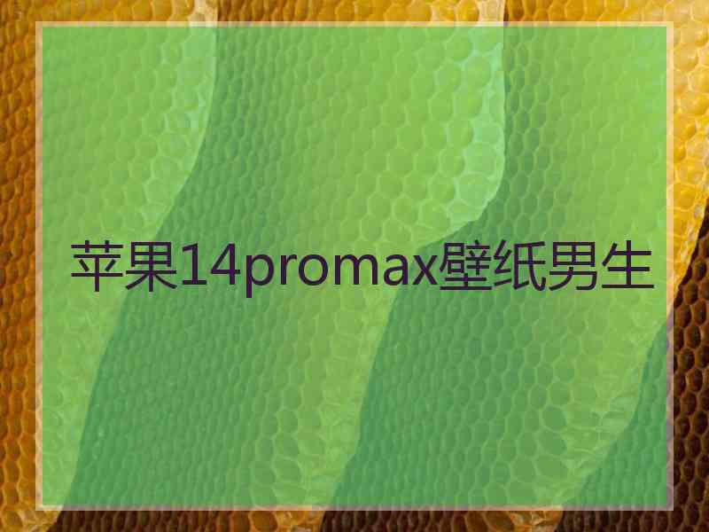 苹果14promax壁纸男生