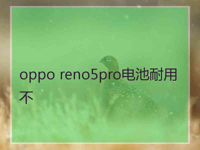 oppo reno5pro电池耐用不